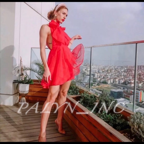 organza mini dress zara